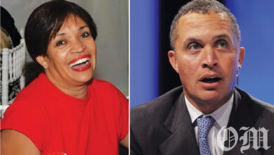 Who Is Dorothy Bowles Ford? Everything About Harold Ford Jr.’s Mother