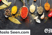 Masla Seen.com Full Review: Everything You Need to Know