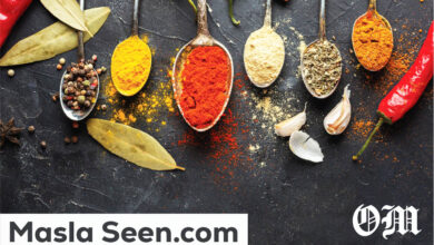 Masla Seen.com Full Review: Everything You Need to Know