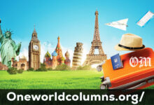 All About Oneworldcolumns.org/: Everything You Need to Know