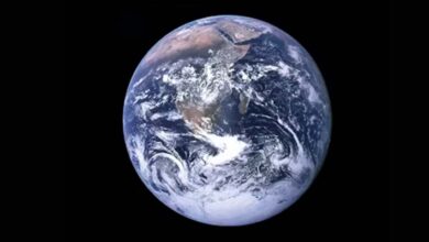 Unlock the World of Geek Culture with Geekzilla Podcast