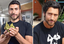 Logan Romero Plant: The Inspiring Life of Robert Plant’s Son
