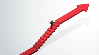 Pedrovazpaulo Business Consultant: The Smart Way to Fix and Grow Your Company