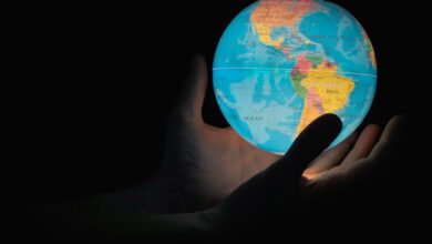 What Is kl7cjnsb8fb162068? The Code That Runs the Digital World