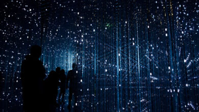 Is mssaminoacid33 a Person, a Code, or Something More?